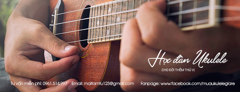 Image home slider